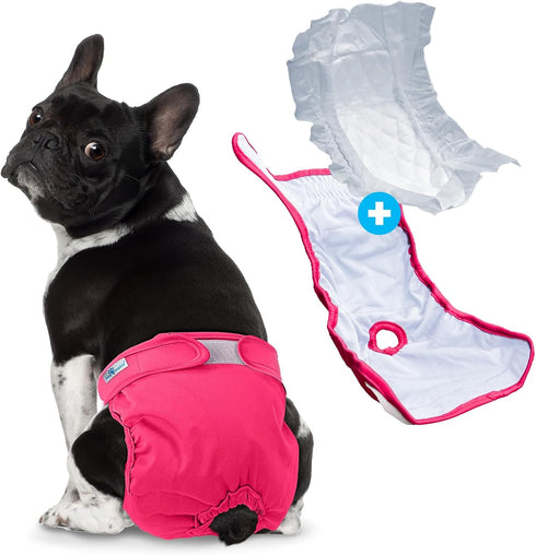 (Pack 3) Pack Paw Inspired Reusable Washable Dog Diapers of in Assorted Colors with White Lining and Dog Diaper