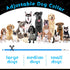 3 Pieces LED Dog Collar Light Up, Rechargeable Adjustable for Night Walking, Large Medium Small Dogs, Blue, Classic