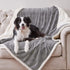 Qeils Dog Blankets for Large Dogs, Waterproof Cat Blanket, Washable Sherpa Fleece Puppy Blanket, Soft Plush Reversible