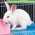 6 Chinchillas Pcs Rabbit Cage Mats,Mat for Wire Floor,Cages Plastic Bunny Feet Pad Playpen Feet Mats Floor Feet Pads