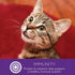 Wellness Healthy Indulgence Morsels Grain-Free Wet Cat Food, 3 Oz Pouches, Chicken & Turkey, 24 Pack