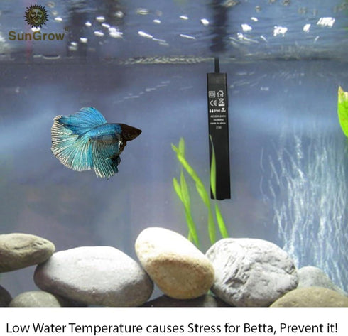 SunGrow 10W Water Heater for Turtle Aquarium Tank, Cat & Dog Heated Bowl, Bird Fountain Deicer, Chicken & Horse Water