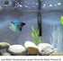 SunGrow 10W Water Heater for Turtle Aquarium Tank, Cat & Dog Heated Bowl, Bird Fountain Deicer, Chicken & Horse Water