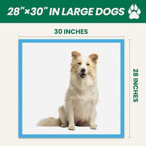 100 Count 28"x30" Large Dog & Cat Puppy Pee Pads - Absorbent Potty Training Pads | Leakproof Quick-Dry Disposable Pet