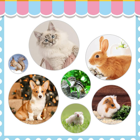 Rabbit Grooming Kit, Brush for Shedding with Bunny Nail Clipper, Trimmers with Pet Combs for Hamster Guinea Pig Ferret