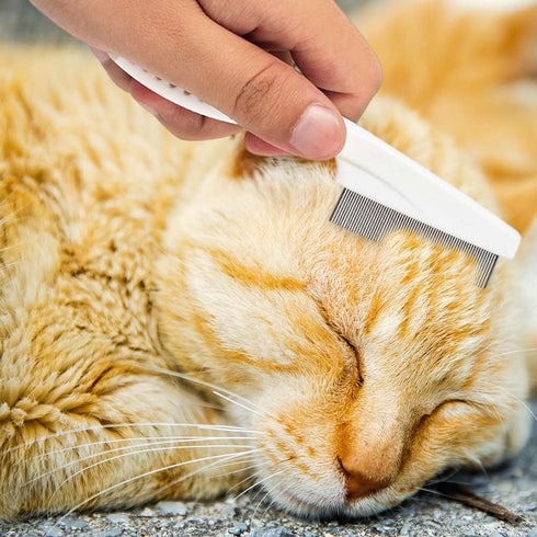 2 Pack Multifunctional Pet Comb, Upgrade Pet Grooming Brush Fine Magic Tear Stain Removal, Fine-Tooth Stainless Massage