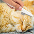 2 Pack Multifunctional Pet Comb, Upgrade Pet Grooming Brush Fine Magic Tear Stain Removal, Fine-Tooth Stainless Massage
