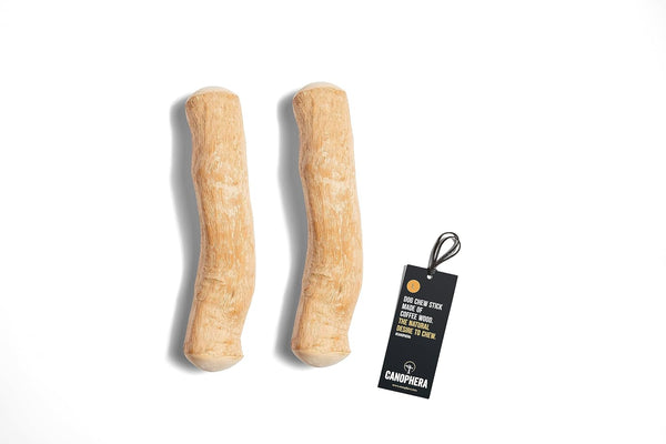 Large Dog Chew Sticks - 2-Pack Natural Coffee Tree Wood Dental Chews for Dog Breeds