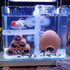 OIIKI 16PCS Aquarium Fish Tank Divider with Suction Cup, Silica Gel Holders for Glass Cover Separating Divider