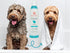 2-in-1 13.5 oz Dog Shampoo and Conditioner - Natural Deodorizing Formula Odor Neutralizer - Tearless Sensitive Skin