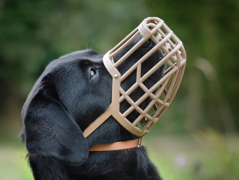 Leather Brothers Italian Basket Dog Muzzle, Adjustable Fit, Comfortable Design, Training, Tan, Size 5