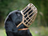 Leather Brothers Italian Basket Dog Muzzle, Adjustable Fit, Comfortable Design, Training, Tan, Size 5