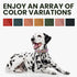 BRONZEDOG Rolled Leather Dog Collar with QR ID Tag - Adjustable Soft Round Collars for Small Medium Large Dogs (11" -