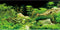 AWERT 48x18 inches Aquarium Background, Seaweed Background for Aquatic Plant Stone River Bed & Lake Fish Tank