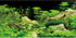 AWERT 48x18 inches Aquarium Background, Seaweed Background for Aquatic Plant Stone River Bed & Lake Fish Tank