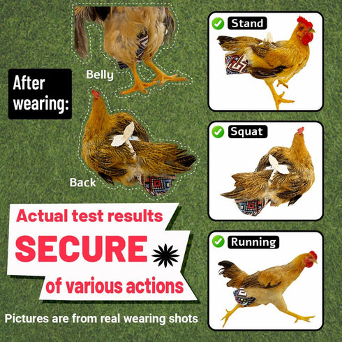 Revoloza 3D 3D Reusable Chicken Diapers for Indoor Chickens Leak-Proof Pouch with Replaceable Bag, Adjustable Straps
