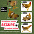 Revoloza 3D 3D Reusable Chicken Diapers for Indoor Chickens Leak-Proof Pouch with Replaceable Bag, Adjustable Straps