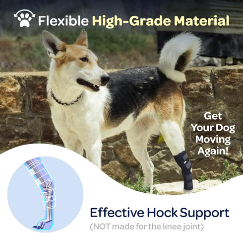 Labra Dog Extra Supportive Compression Wrap for Canine Rear Leg Hock Joint, Recovery, Protection, Ankle Brace
