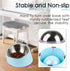 SuperDesign Mess Free 15° Slanted Bowl for Dogs and Cats, Tilted Angle Bulldog Bowl Dog Feeder, Non-Skid & Non-Spill