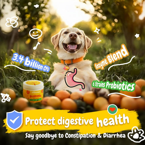 Immune 50ct) PENPEN Probiotics for Dogs, Dogs Probiotics for Digestive Health, Multi-Probiotic and Enzyme Blend Promote