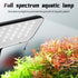Boxtech 8W Small Aquarium Clip On LED Light, USB Full Spectrum Planted Light for 3 to 6 Gallon Tanks