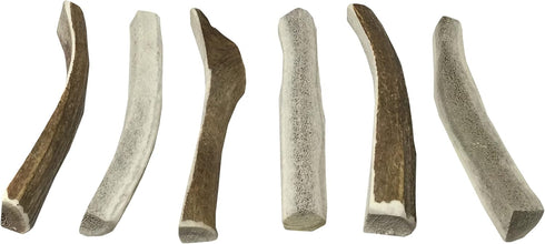 Elk Antler Chews for Dogs | Naturally Shed USA Collected Elk Antlers | All Natural A-Grade Premium Elk Antler Dog Chews