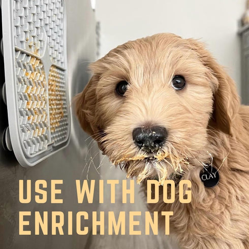 Pumpkin Pup + Ruff Ruff Raw + Barkin Banana Buddy BUDDER - 100% Natural Dog Peanut Butter Treats Set of 3