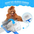 3 1 Large Dog Slicker Brush for Goldendoodles, Poodles - in Grooming Kit with Undercoat Rake, Comb - Extra Long Pins