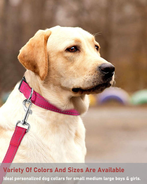 Reflective Dog Collar Adjustable Safety Nylon for Small Medium Large Dogs, Pink L
