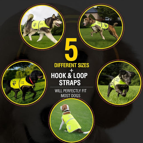Safety Reflective Vest for Dogs - High Visibility for Outdoor Activity Day and Night
