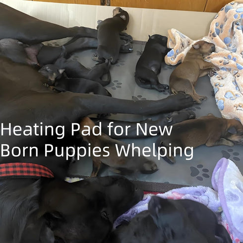 Puppy Heating Pad for Whelping New Born Dogs, Heated Bed with Auto Shut Off Timer, 9 Level Heater, Large 34x21 in