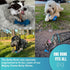 7" Standard Bully Sticks (10 Pack) with Safety Device - All Natural Pizzle Sticks, No Choking, Bully Stick Holder