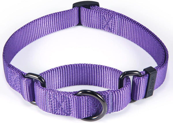 Adjustable Nylon Martingale Dog Collar, Comfort Silky Escape Proof Training Collar with Heavy Duty Metal D-Ring (Ultra