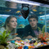Generic Betta Bed Floating Decoration - Fish Tank Resting Spot | Betta Bed Shrimp Cave, Aquarium Floating Ornament