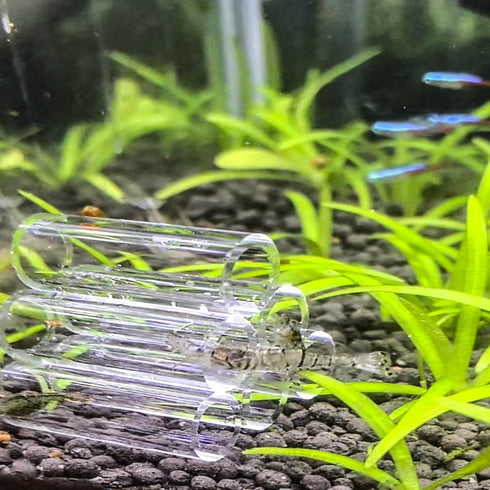 6-Tube Fish Shrimp Feeder Glass Breeding Tube, Aquarium Pipe Shelter Tube for Fish Tank Decorations