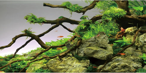 AWERT 48x18 inches Branches Aquarium Background, Stone River Bed & Lake Fish Tank Background, Green Algae Vinyl