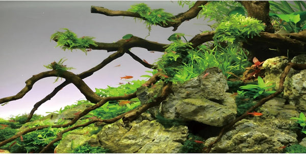AWERT 48x18 inches Branches Aquarium Background, Stone River Bed & Lake Fish Tank Background, Green Algae Vinyl