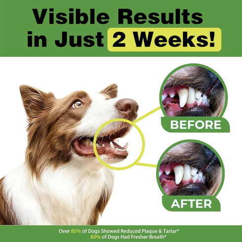 Xuaobamm 75 Dog Dental Powder, Teeth Cleaning Powder for Dogs, Plaque & Tartar Remover for Pet Oral Care - Fresh Breath