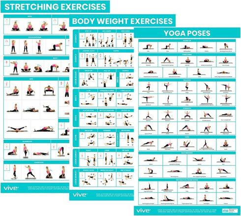 Vive Workout Posters (3 Pack) - Bodyweight, Yoga, Stretching Exercise Guide for Home Fitness, Laminated Illustrations