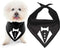 Parisian Pet Tuxedo Dog Bandana, Small