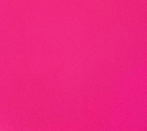 US Marine Products LLC Fluorescent Lobster Buoy Paint Pink Quart