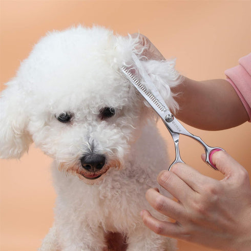 Set, 4CR 5 GEMEK Dog Grooming Scissors Stainless Steel Safety Round Tip Pet Professional Grooming Tool Pieces Kit