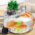 TOPZEA 6 Lb Aquarium Filter Media Ceramic Rings, Bio Filter Medias with Zipper Mesh Bags for Koi Pond, Fish Tank Filter