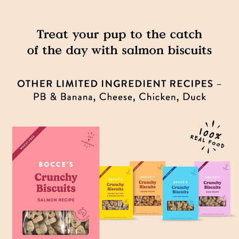 Bocce's Bakery 14 oz Oven Baked Salmon Recipe Treats for Dogs - Wheat-Free, All-Natural Ingredients