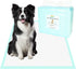 GWT 40 Count Premium Dog Pee Pads - 28x34 Inch Ultra Absorbent, Leak-Proof Training Pads for Large Dogs