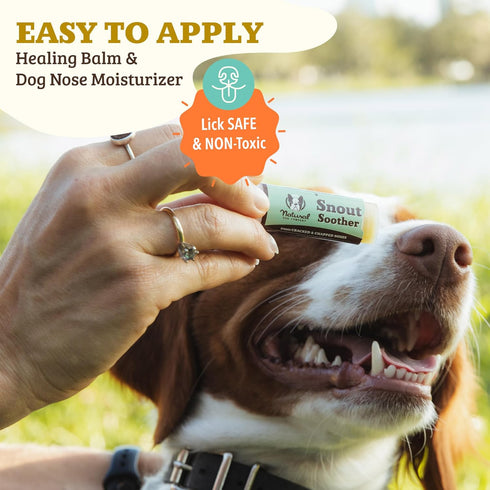Natural Dog Company Snout Soother - Dog Nose Balm for Dry, Cracked Noses, 2 oz Stick