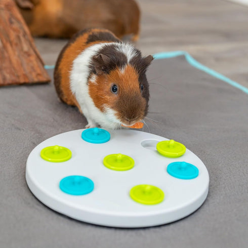 Chinchilla Trixie Rabbit Snack Board, Interactive Toy, Small Animal Puzzle, Mental Stimulation, Rabbit, Ferret, Bunny