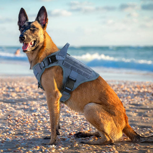 rabbitgoo Tactical Dog Harness for Large Dogs, Heavy Duty No-Pull Vest with Handle for Training and Walking, Blue, S