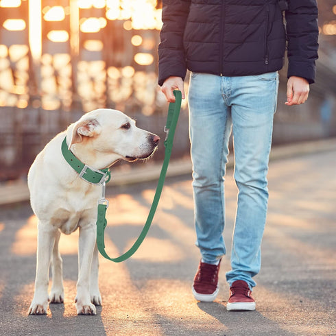 Waterproof Dog Leash - Standard with 2 Hooks for Walking, Adjustable Lengths for Traffic Control, Durable for Medium