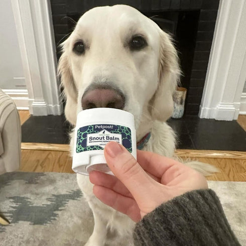 Petpost Snout Balm for Dogs, 0.64 oz - Nourishing Soother Balm with Organic Coconut Oil, Jojoba Oil, Shea Butter